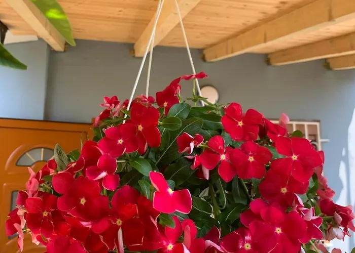 Rama Affittacamere Berat