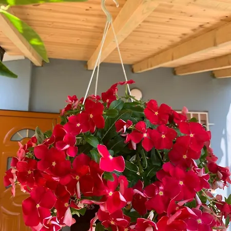 Rama Vendégház Berat